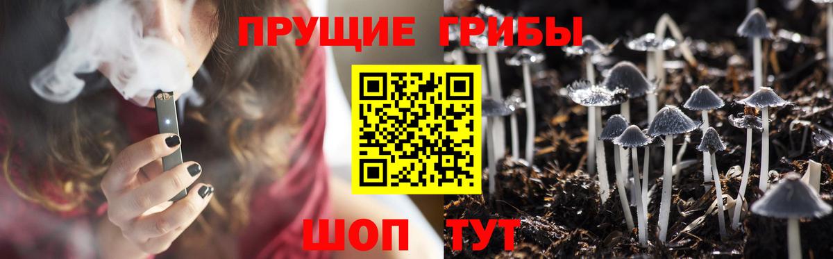 Коряжма  Галлюциногенные грибы Psilocybe  купить  цена  Псилоцибиновые грибы MAGIC MUSHROOMS  Вход с VPN 